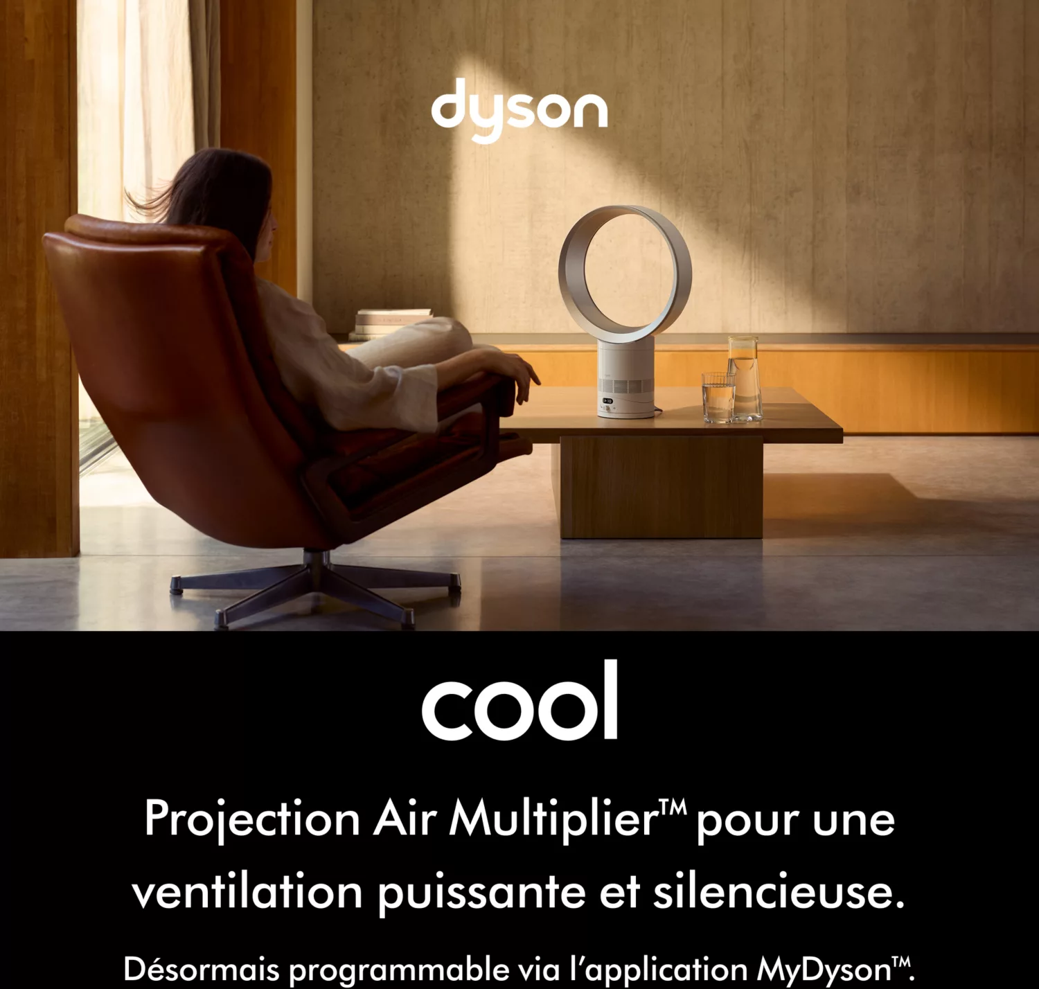 Ventilateur Dyson AM12 Cool CF1